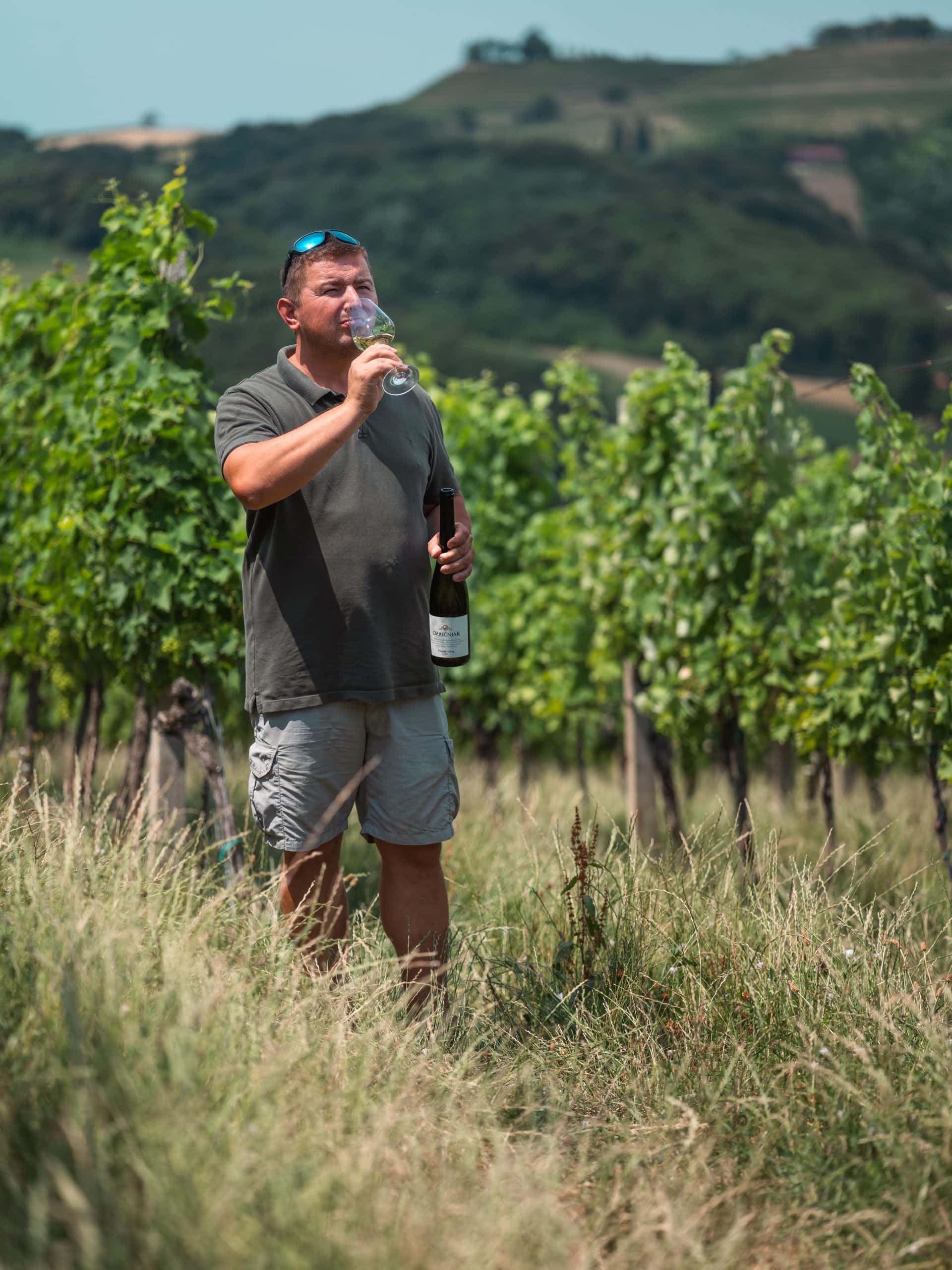Muškarac u vinogradu pije vino i uživa u prirodi.